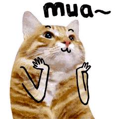 12.gif