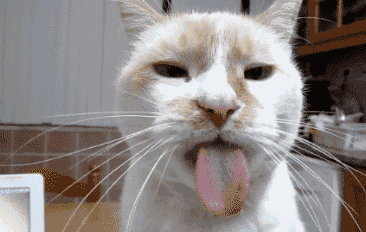 10.gif